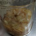 キルヘボン's cooksnap of when they made ガリ新生姜甘酢漬け.