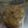 キルヘボン's cooksnap of when they made ガリ新生姜甘酢漬け.