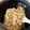 きっかママ's cooksnap of when they made 調味料不要！えのきと塩昆布の炊き込みご飯.