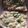 クック2H9MD0☆'s cooksnap of when they made 朝食やランチに♪オニオンツナマヨトースト.