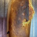 しょうこるん's cooksnap of when they made ホケミでバナナナッツブレッド.