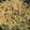 クック7O0BFJ☆'s cooksnap of when they made ご飯と♪我が家の定番【新生姜のきんぴら】.