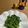 chi−ちゃん's cooksnap of when they made ホウレン草の塩炒め.