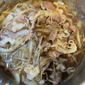 よによ's cooksnap of when they made 牛蒡と玉ねぎのシンプル鍋.