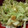 ☆hikonyan☆'s cooksnap of when they made レタスとゆで卵のマヨつゆサラダ.