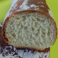 おかって菜園's cooksnap of when they made ⁂自家製＊ハーブ酵母の起こし方⁂.