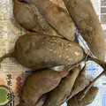 きゃろぽて's cooksnap of when they made 芋掘りのさつま芋を美味しくする方法.