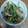 mituh's cooksnap of when they made ◇◇小松菜と舞茸、お揚げの炊いたん◇◇.
