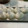 Mikuzi's cooksnap of when they made 便利！大根おろしを冷凍保存☆.