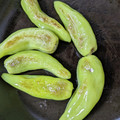 わかポン☆'s cooksnap of when they made 甘長ししとうは塩が1番.