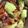 クックTKPM9Q☆'s cooksnap of when they made 3つのコツでプロの味！究極のポトフ.