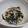 fu♪♪'s cooksnap of when they made 簡単！旨い！もやしとわかめのスタミナ和え.