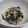 fu♪♪'s cooksnap of when they made 簡単！旨い！もやしとわかめのスタミナ和え.