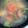 手抜きクック's cooksnap of when they made トマト、青梗菜、人参の塩麹スープ.