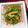 めぐ＊ぴぃ's cooksnap of when they made 毎日の納豆●生姜プラスのネギたっぷり納豆.