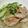 yummy?'s cooksnap of when they made 茹で鶏のすりゴマポン酢ソースかけ.
