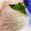 さんちゃん（╹◡╹）'s cooksnap of when they made カイワレ大根の保存法☆.