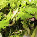 クックP81ONM☆'s cooksnap of when they made セロリときゅうりの浅漬け.