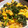 mizupiyo's cooksnap of when they made ほうれん草と卵のマヨ炒め.