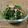 marukocook's cooksnap of when they made ほうれん草とツナおかか和え！.