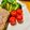 ねっちゃんっ's cooksnap of when they made プチトマトでお花.