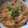 hanemakoo's cooksnap of when they made 簡単！炊飯器で参鶏湯風お粥.