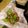 クックAC9M27☆'s cooksnap of when they made サーモンとハムの花束サラダ.