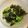 ポークの嫁's cooksnap of when they made 簡単すぎっ！レタスと海苔のサラダ.