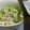 かあロイド's cooksnap of when they made 夏の暑い日に！簡単、冷や汁.