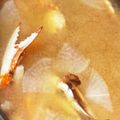 ちまちまぱぺっと's cooksnap of when they made 渡り蟹　磯汁　いいダシでてるねぇ～.
