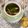 ちゃまたまご's cooksnap of when they made 管理栄養士直伝！松茸の土瓶蒸し（覚書）.