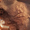 葉っぱでこちゃん's cooksnap of when they made 5分で糖質制限ダイエットチョコブラウニー.