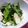 mikkusan's cooksnap of when they made 長芋のしそ海苔和え.