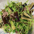 ♡まーちゃん♬'s cooksnap of when they made 豆苗となすの塩昆布肉炒め.