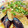 τомоко's cooksnap of when they made 鯖と茄子のおろし揚げびたし♪.