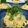 ｸﾏﾘｴ's cooksnap of when they made うまうま濃厚、めんたいクリームパスタ。.