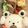 BellMire's cooksnap of when they made ワンピース☆ハートの海賊団ベポのキャラ弁.