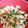 春美姫's cooksnap of when they made 山芋とオクラの梅和え.