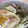 はなやまです's cooksnap of when they made 【簡単ご飯】がっつり☆ネギ塩豚丼.