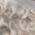 happykote's cooksnap of when they made マッシュルームの保存方法（鮮度風味ＯＫ）.
