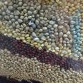 happykote's cooksnap of when they made ＜雑穀米＞ドイツでできる１２穀米ブレンド.