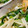 s06007's cooksnap of when they made 白だしで！厚揚げともやしとニラのさっと煮.