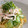 ことり会's cooksnap of when they made 塩だれ冷やし中華.