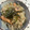 クックZU168P☆'s cooksnap of when they made 秋鮭とキノコ☆炊き込みごはん.