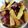 ぴやぴやおやつ's cooksnap of when they made カリカリ簡単大学芋♪.