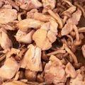 かなっぺかなっぺ's cooksnap of when they made 鶏もも肉と山盛りきのこのバタポン炒め.
