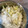 Ruriluru's cooksnap of when they made 硬いレタスの真ん中は千切りにしちゃえ！.