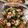 月✳Iris's cooksnap of when they made ツナきゅうの和え物.