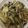 かおり♡♡♡'s cooksnap of when they made きのこのパスタ.