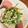 MEグッチ's cooksnap of when they made 簡単！豆苗のたまごとじ.